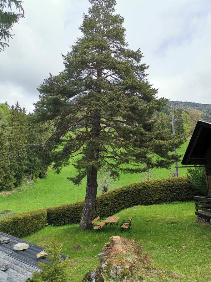 Waldheimat Apartment Fresach ภายนอก รูปภาพ